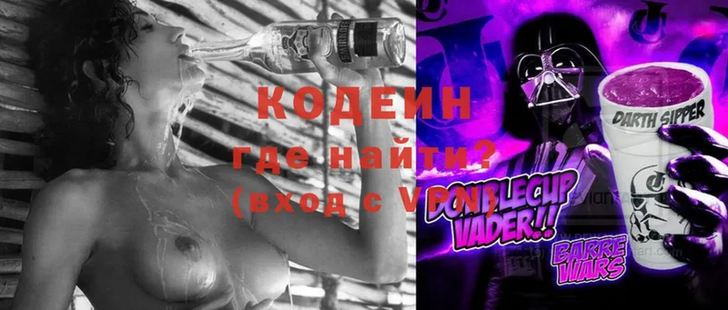 Кодеин Purple Drank  MEGA как зайти  Пудож  купить наркоту 