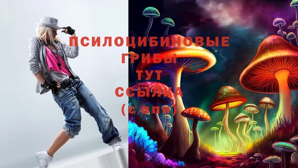 PSILOCYBIN Верхнеуральск